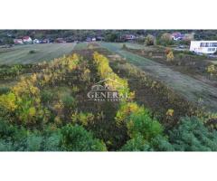 Teren de vanzare 4.000m2 in Cicarlau la Drum European E58 BM-SM KM-15 - Imagine 4