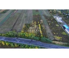 Teren de vanzare 4.000m2 in Cicarlau la Drum European E58 BM-SM KM-15 - Imagine 5