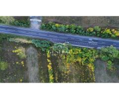 Teren de vanzare 4.000m2 in Cicarlau la Drum European E58 BM-SM KM-15 - Imagine 6