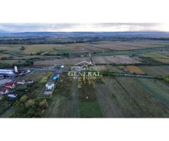 Teren de vanzare 4.000m2 in Cicarlau la Drum European E58 BM-SM KM-15 - Imagine 8
