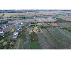 Teren de vanzare 4.000m2 in Cicarlau la Drum European E58 BM-SM KM-15 - Imagine 9