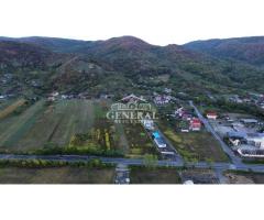 Teren de vanzare 4.000m2 in Cicarlau la Drum European E58 BM-SM KM-15 - Imagine 10