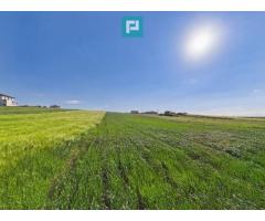 Teren intravilan 3500 mp Cihei,