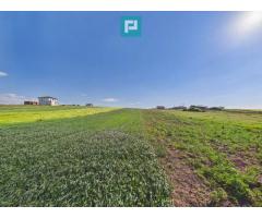 Teren intravilan 3500 mp Cihei, - Imagine 2