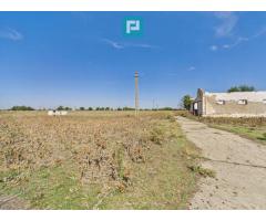Teren intravilan 146.866 mp | Jimbolia - Imagine 12
