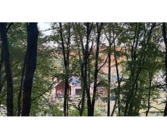 Casa individuala superba, cu arhitectura scandinava, moderna - langa padure, teren generos - Imagine 6