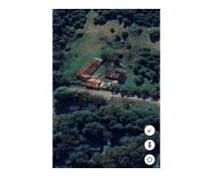 Casa individuala, renovata, teren 5 ha, Glodghilesti, Hunedoara - Imagine 12