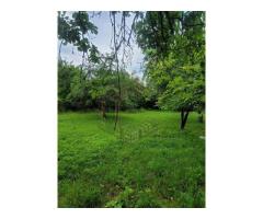 Casă 5 camere de vânzare, teren 5 ha, Glodghilești, jud. Hunedoara - Imagine 9