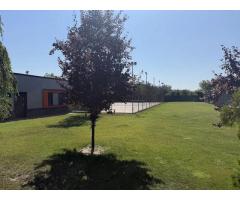 Hala P+1 cu birouri, depozit si teren 2.641 mp de vanzare Timisoara - Imagine 9