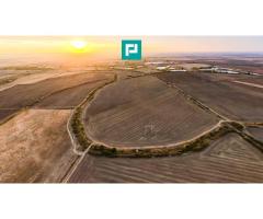 Teren arabil 68,800mp Zimandu Nou - Imagine 2