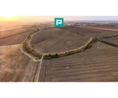Teren arabil 68,800mp Zimandu Nou - Imagine 3
