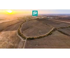 Teren arabil 68,800mp Zimandu Nou - Imagine 4