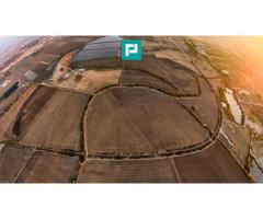 Teren arabil 68,800mp Zimandu Nou - Imagine 6