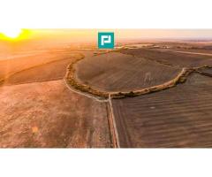 Teren arabil 68,800mp Zimandu Nou - Imagine 7