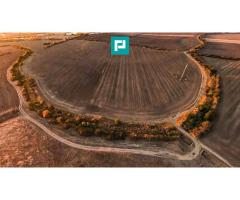 Teren arabil 68,800mp Zimandu Nou - Imagine 8