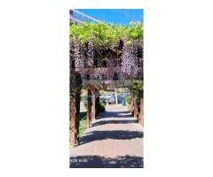 De inchiriat garsoniera langa ITM, parter/9, 280 euro - Imagine 11