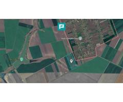 Teren de 8600 Mp2, agricol extravilan, Mailat - Imagine 3