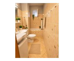 Apartament cu 2 camere | Splaiul Nicolae Titulescu 21  | Iosefin - Imagine 4