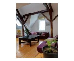 Apartament 4 camere | 175 mp | Bulevardul Victor Babeș | Ideal pentru