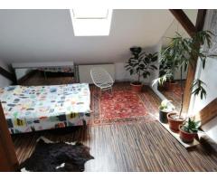 Apartament 4 camere | 175 mp | Bulevardul Victor Babeș | Ideal pentru - Imagine 3