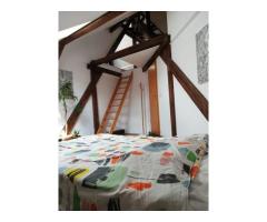 Apartament 4 camere | 175 mp | Bulevardul Victor Babeș | Ideal pentru - Imagine 4