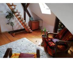 Apartament 4 camere | 175 mp | Bulevardul Victor Babeș | Ideal pentru - Imagine 5