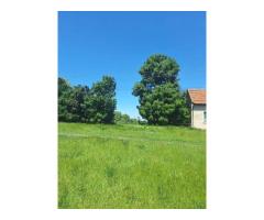 Teren vanzare-8000 m2-Cheveresu Mare -100 m front stradal - Imagine 4