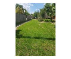 Casă cu 4 camere și teren generos de 2.370 mp – Deta, Strada 1 Mai - Imagine 2