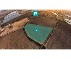 Teren arabil 68,800mp Zimandu Nou