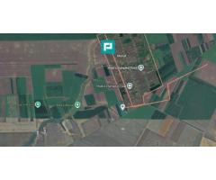 Teren de 10.000 Mp2, agricol extravilan, Mailat
