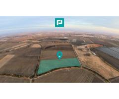 Teren arabil 68,800mp Zimandu Nou