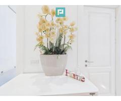 Apartament deosebit în clădire istorică central