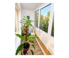 Apartament 2 camere Targu-Mures, zona Tudor - Imagine 6