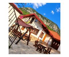 Casă cu grădină, saună și ciubăr în Băile Herculane | 2 zone de locuit