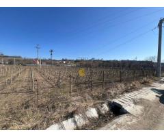 Teren intravilan 2700 mp, deschidere 41 ml, Movilita – Vrancea - Imagine 2