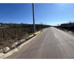 Teren intravilan 2700 mp, deschidere 41 ml, Movilita – Vrancea - Imagine 4