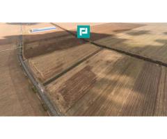 Teren 15.000 mp, Zădăreni, zona Lagermax - Imagine 2