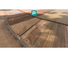 Teren 15.000 mp, Zădăreni, zona Lagermax - Imagine 4