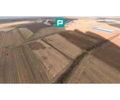 Teren 15.000 mp, Zădăreni, zona Lagermax - Imagine 6