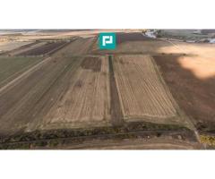 Teren 15.000 mp, Zădăreni, zona Lagermax - Imagine 8