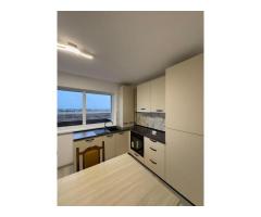 Apartament cu doua camere de inchiriat Sanpetru - Imagine 5