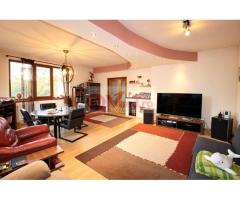 VILA MODERNA P+1 DE VANZARE – CARTIER MICRO 17, GALATI - Imagine 11