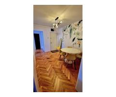 2 camere, Plopilor, Platinia, UMF, USAMV, BIG, Kaufland,Modern - Imagine 5