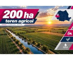 200 ha teren agricol de vanzare in Arad