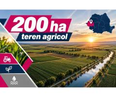 200 ha teren agricol de vanzare in Arad - Imagine 2