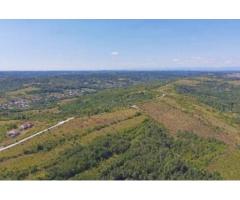 Oportunitate Investitie Ferma Dragasani