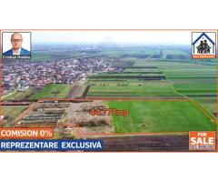 Teren 4,5ha intravilan, fost CAP, in Comuna Cetatea, Giurgiu - Imagine 2