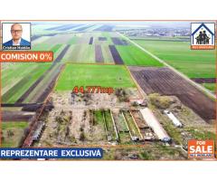 Teren 4,5ha intravilan, fost CAP, in Comuna Cetatea, Giurgiu - Imagine 3