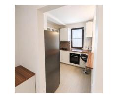 Inchiriez apartament 2 camere, Dumbravita langa padure - Imagine 7