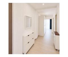 Inchiriez apartament 2 camere, Dumbravita langa padure - Imagine 10